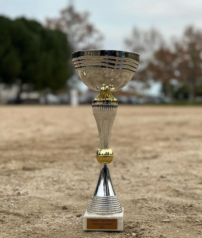 Séptima copa de navidad de Panteras